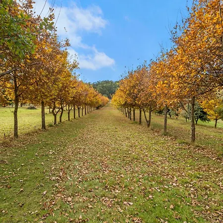 Blackwood Park Cottages Mole Creek Exterior photo