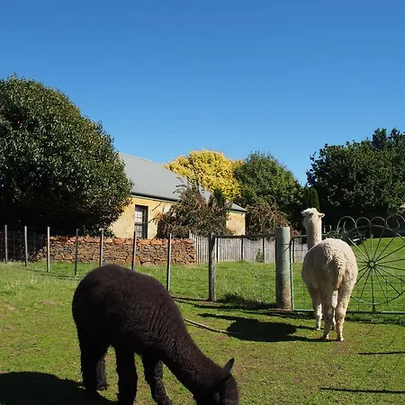 Blackwood Park Cottages Mole Creek Exterior photo