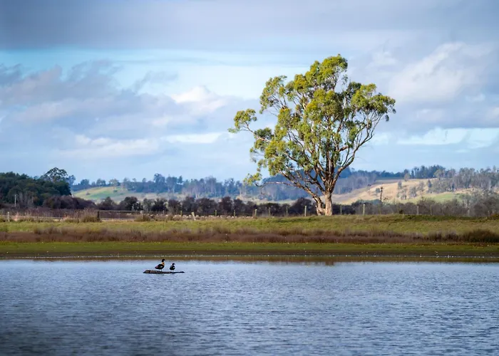 Blackwood Park Cottages Mole Creek
