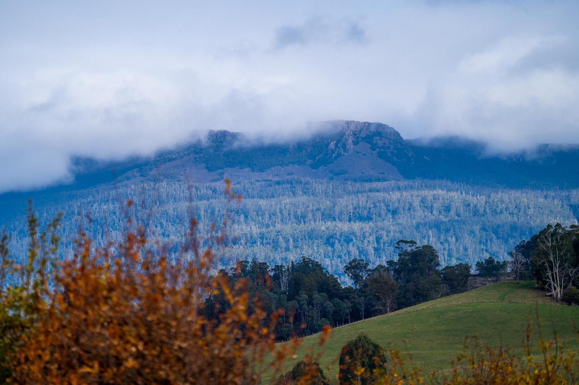 Blackwood Park Villa Mole Creek