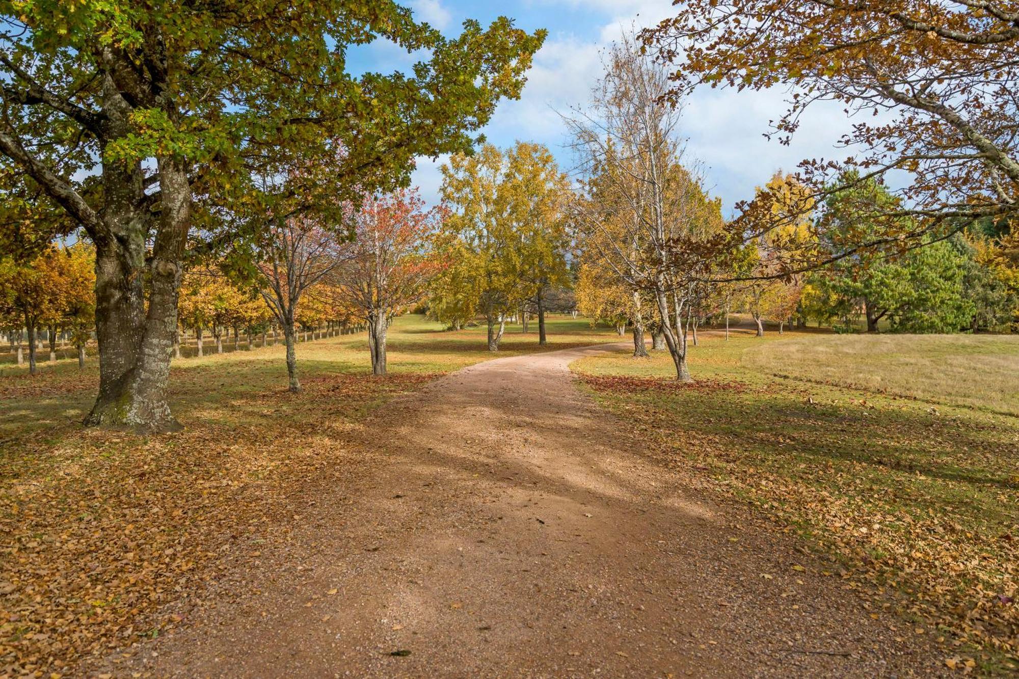 Blackwood Park